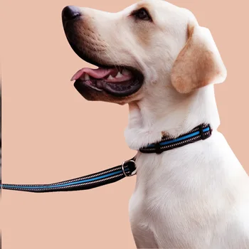 Naminių reikmenys atspindintis šunų antkaklis kačių ir šunų antkaklis nailono atspindintis antkaklis naminių gyvūnėlių apykaklės šunų antkaklis prekes