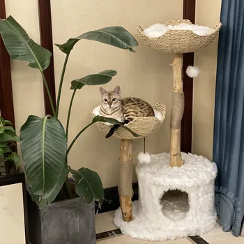 Cukranendrių austi katė laipiojimo rėmas katė lizdą katė medžio katė šokinėja platforma katė žaislas šlifavimo letena katė stovas katei medžio laipiojimo rėmas